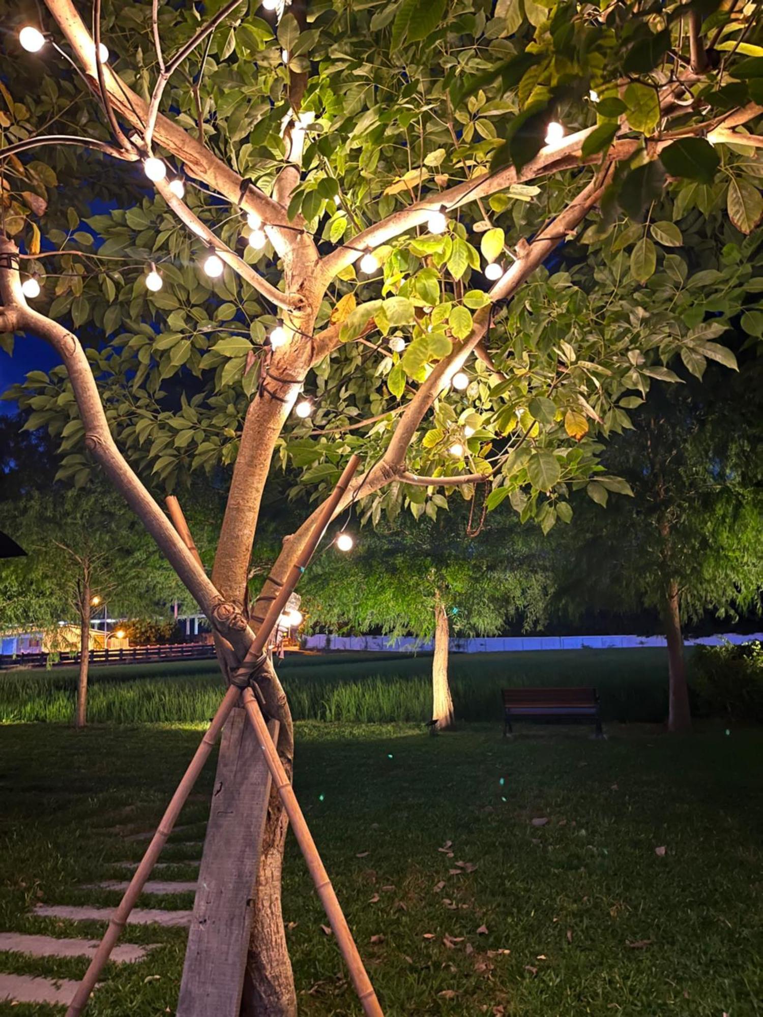 Blue Sky Hill Homestay Ґуаньшань Екстер'єр фото